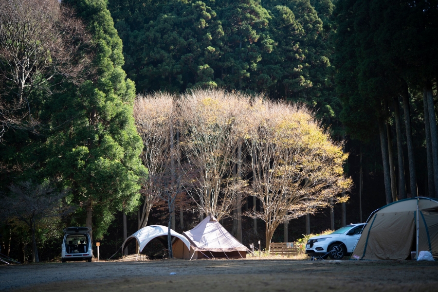 森と木のある暮らしをサポート
