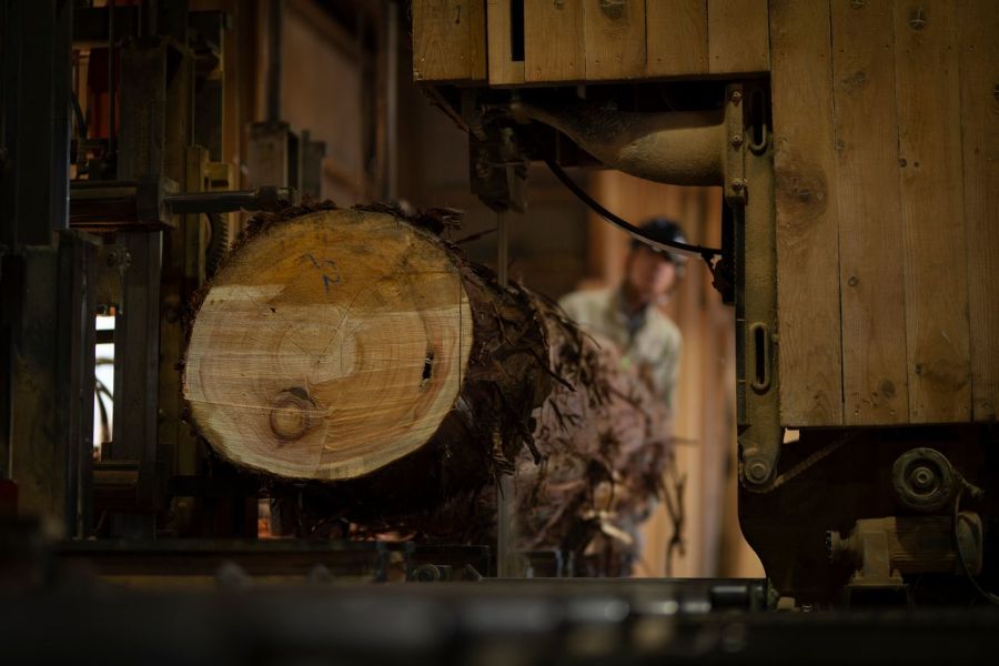 工場で加工される丸太