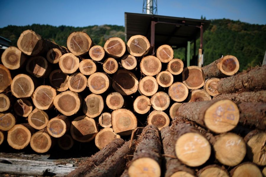 屋外で山積みになっている丸太