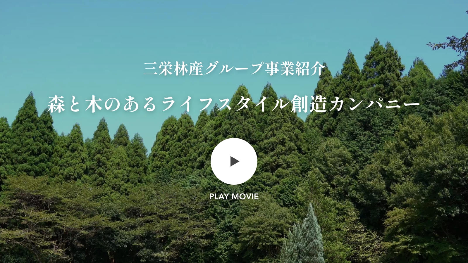 三栄林産グループ事業紹介 森と木のあるライフスタイル創造カンパニー